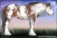 Horse Color:White Spotted Bay Varnish 