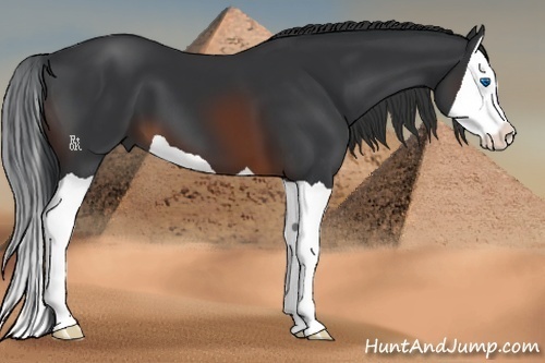 Horse Color:Brown Splash