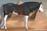 Horse Color:Brown Splash