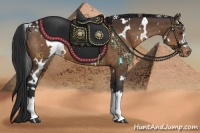 Horse Color:White Spotted Brown Appaloosa