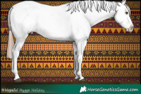 Horse Color:White Spotted Liver Chestnut Appaloosa 