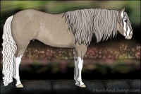 Horse Color:Silver Grullo Sabino Splash Rabicano