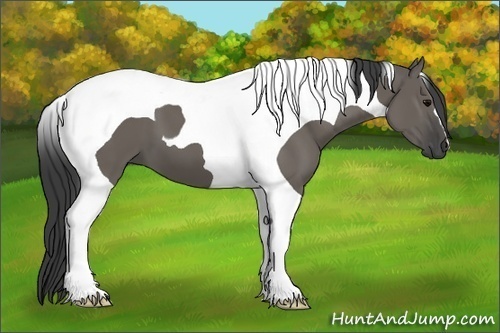 Horse Color:Grullo Tobiano