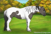 Horse Color:Grullo Tobiano