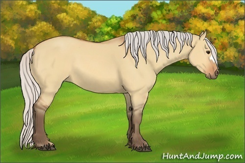 Horse Color:Silver Bay Dun