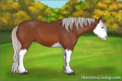 Horse Color:Silver Bay Splash 