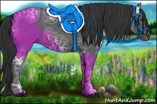 Horse Color:Black Ice 