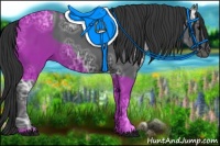 Horse Color:Black Ice 