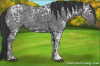 Horse Color:Black Ice 