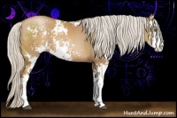 Horse Color:Silver Black Pearl Sabino 