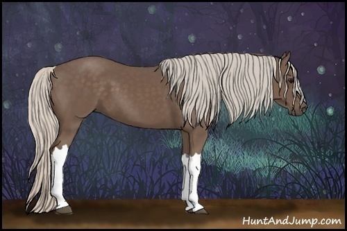Horse Color:Silver Black