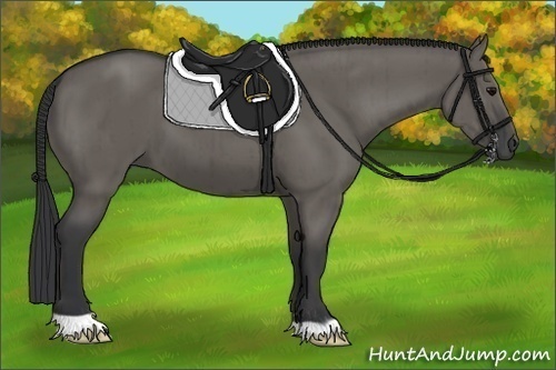 Horse Color:Grullo Brindle