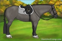 Horse Color:Grullo Brindle 