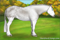 Horse Color:Gray Grullo Splash Rabicano Brindle 