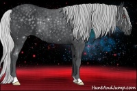 Horse Color:Silver Black Chinchilla