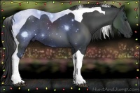 Horse Color:Black Tobiano 
