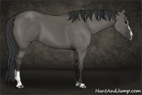 Horse Color:Grullo Sabino 