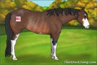 Horse Color:Bay Sabino Rabicano