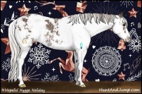Horse Color:Silver Black Sabino Rabicano 