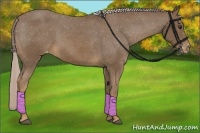Horse Color:Chocolate Palomino Varnish