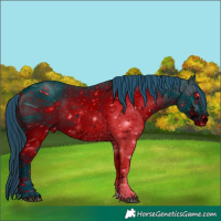 Horse Color:ERROR: UNKNOWN ANOMALY