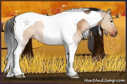 Horse Color:Bay Dun Tobiano 