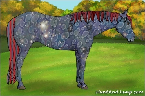 Horse Color:ERROR: UNKNOWN ANOMALY