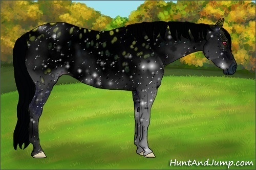 Horse Color:ERROR: UNKNOWN ANOMALY