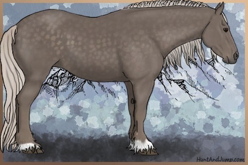 Horse Color:Silver Black 