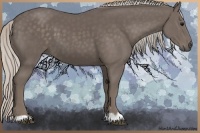 Horse Color:Silver Black 