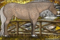 Horse Color:Silver Buckskin Roan 