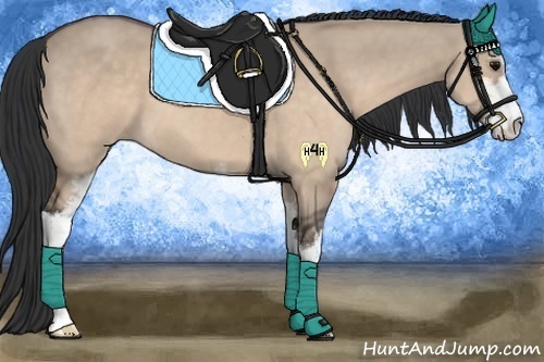 Horse Color:Brown Dun Sabino