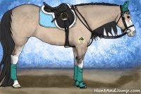 Horse Color:Brown Dun Sabino
