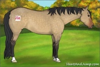 Horse Color:Brown Dun 