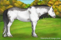 Horse Color:Grullo Sabino Splash Frame Rabicano Brindle