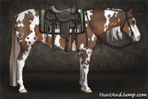 Horse Color:White Spotted Liver Chestnut Sabino 