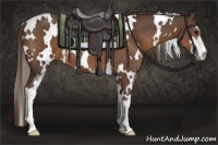 Horse Color:White Spotted Liver Chestnut Sabino 