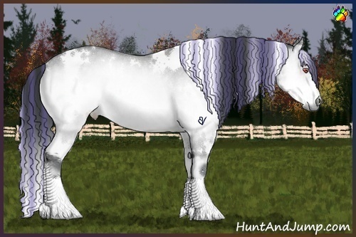Horse Color:Painted White Spotted Buckskin Chinchilla Onyx Rabicano 