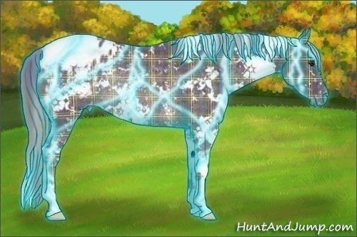 Horse Color:Thunderstruck Plaid  White Spotted Chocolate Palomino Appaloosa Rabicano 