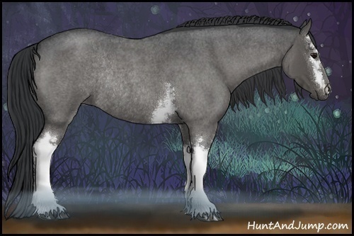 Horse Color:White Spotted Blue Roan Rabicano 