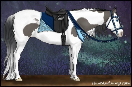 Horse Color:Grullo Splash Tobiano 