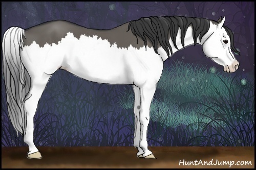 Horse Color:Grullo Splash 