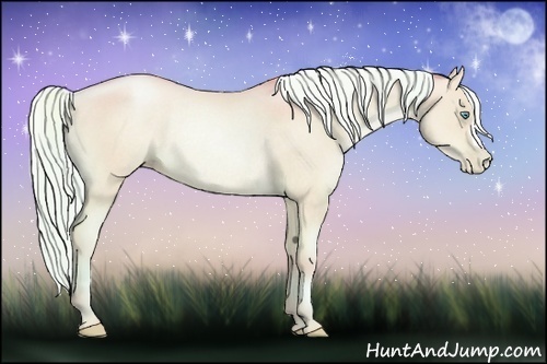 Horse Color:Watercolor Palomino Pearl Dun Rabicano