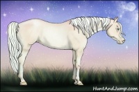 Horse Color:Watercolor Palomino Pearl Dun Rabicano