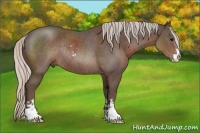 Horse Color:Silver Black Sabino Rabicano and Silver Black Sabino Rabicano
