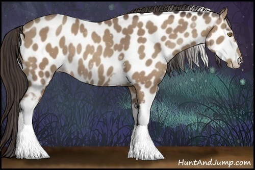 Horse Color:White Spotted Classic Champagne Appaloosa Rabicano 