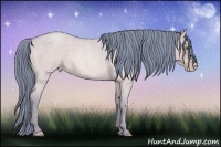 Horse Color:Watercolor Sable Champagne Roan