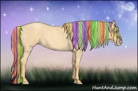 Horse Color:Painted Gold Champagne Roan 