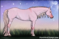 Horse Color:Watercolor Chocolate Palomino Roan Dun 