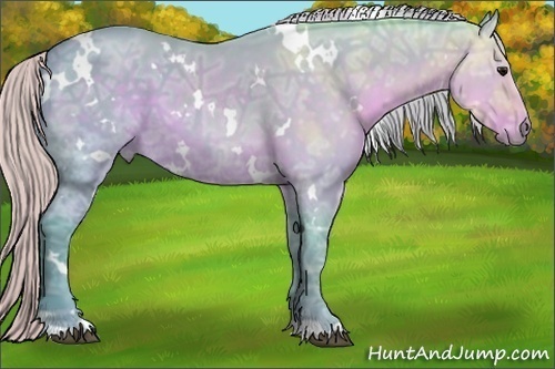Horse Color:Watercolor White Spotted Silver Black Ice 